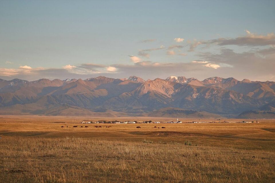 Rangeland toward mountains at dusk